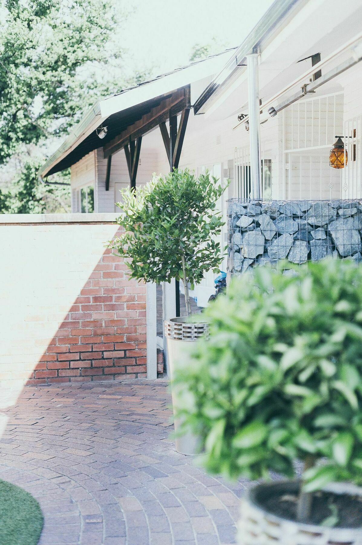 B And B Sandton Bed and Breakfast Johannesburg Buitenkant foto